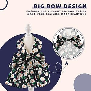 Big Bow Design-Navy Blue