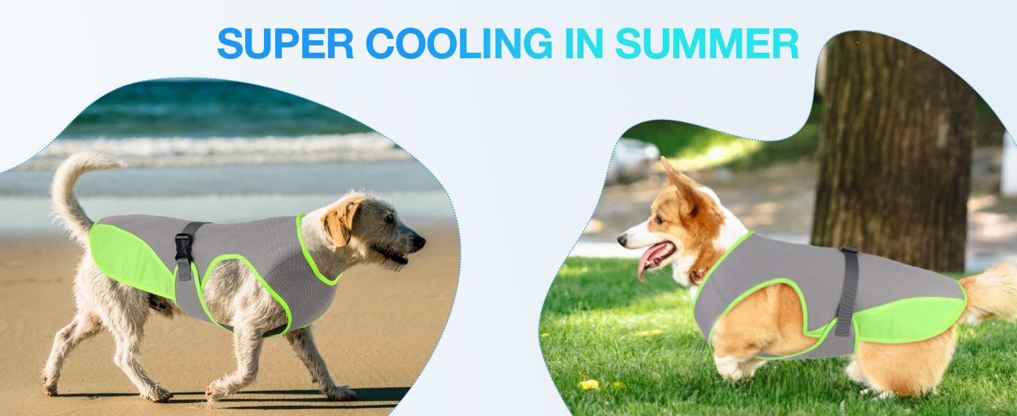 dog cooling vest