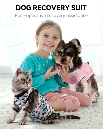 dog surgical recovery suit
