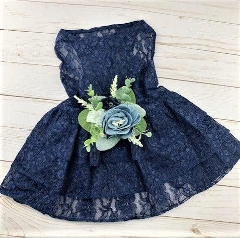 518Pk_AgnUL._AC Navy Lace Dog Dress, Navy and Dusty Blue Floral Wedding Dog Dress, Dog Flower Girl Dress, The Aquanetta Wedding Dog Dress, Dog Clothes (X-Small (3-6 lbs))