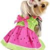 Juicy Watermelon Sundress/Picnic Dress for Small Dog/Puppy - L