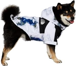 Dog Clothes Fashion Outfit Hooded Raincoat Jackets for Dogs Cats Pet Lightweight Water-Resistant Outdoor Windbreaker Small Medium Large (S◆Chest 9.8''-13.7'',Back 10.2'',2.2-5.5lbs)