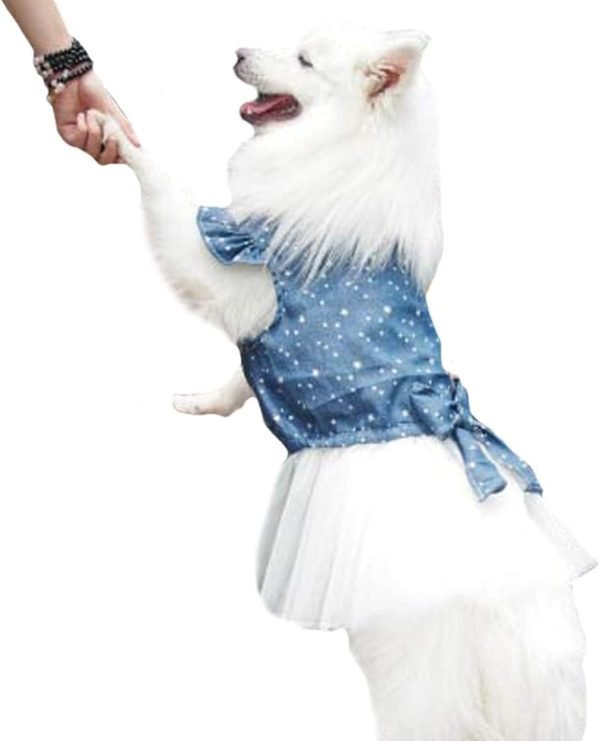 51JvYmn7nML._AC_SL1500 Polka Dot Big large Dog Princess Dress Tutu Skirt Golden Retriever Pitbull Summer Dog Clothes Hoodie Costume (XXXL, Blue)