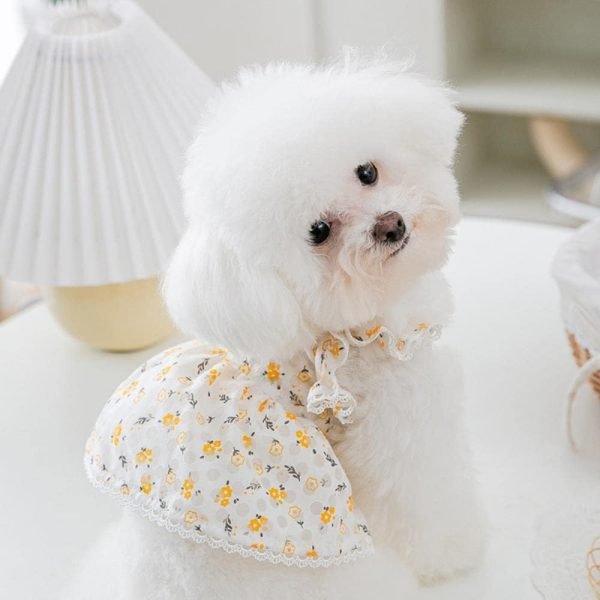 51KBIiBwjpL._AC_SL1000 Floral Dress Pet Dog Clothes Cat Fresh Hollow Clothing Dogs Small Chihuahua Sweet Summer White Breathable Girl Boy Chihuahua
