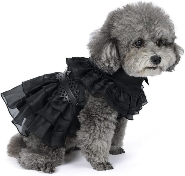 Pet Dog Cat Wednesday Dress Addams Costume Cosplay Cute Puppy Kitten Black Coat Clothes with Belt Halloween Party Dress up Pretend Play for Small Medium Dogs