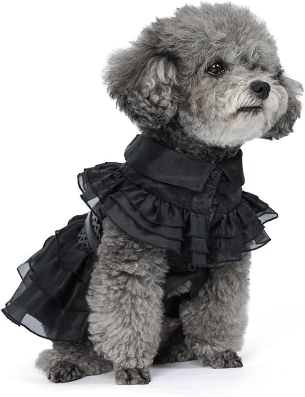 Pet Dog Cat Wednesday Dress Addams Costume Cosplay Cute Puppy Kitten Black Coat Clothes with Belt Halloween Party Dress up Pretend Play for Small Medium Dogs