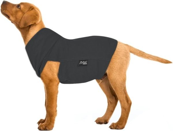 Premium Dog Cotton Tshirt - Lightweight & Breathable, Protects Coat, Ideal for Comfort & Play, Dog Sweater for Small, Medium, Large in Multi Colors