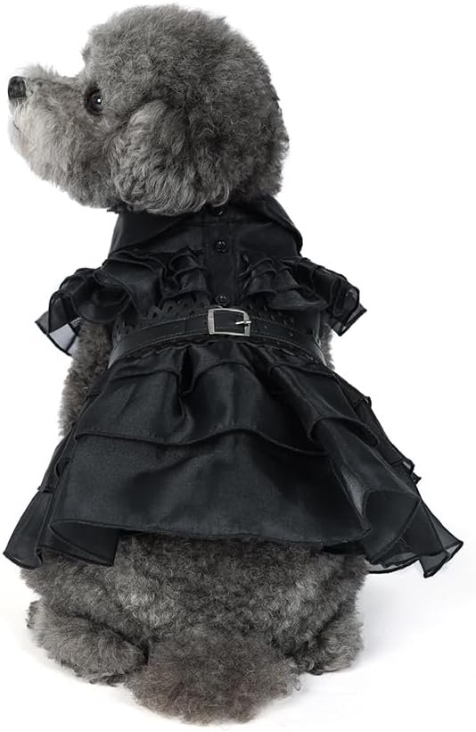 Pet Dog Cat Wednesday Dress Addams Costume Cosplay Cute Puppy Kitten Black Coat Clothes with Belt Halloween Party Dress up Pretend Play for Small Medium Dogs