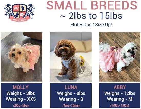 51a-GXgEKFL._AC Navy Lace Dog Dress, Navy and Dusty Blue Floral Wedding Dog Dress, Dog Flower Girl Dress, The Aquanetta Wedding Dog Dress, Dog Clothes (X-Small (3-6 lbs))