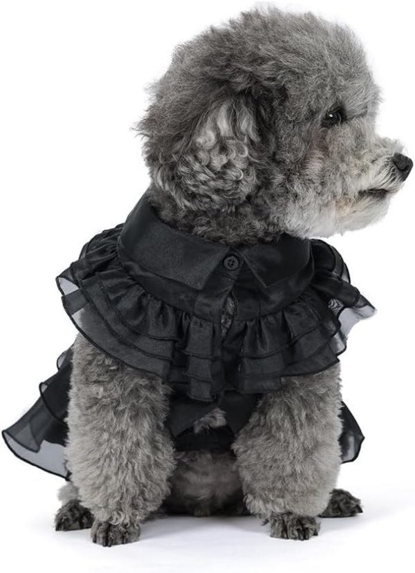 Pet Dog Cat Wednesday Dress Addams Costume Cosplay Cute Puppy Kitten Black Coat Clothes with Belt Halloween Party Dress up Pretend Play for Small Medium Dogs