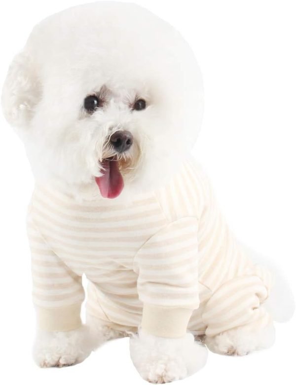 Dog Surgery Recovery Suit Pet Surgical Onesie Long Sleeve After Surgery Wear Pet E-Collar Alternative for Female Male Dog with LegPink Swan/Small