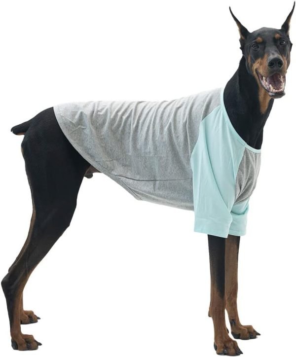 Dog Shirt for Small and Large Dogs Raglan Cotton T-Shirts Soft Breathable Dog Shirts pet Clothes Gray Series (Large, Gray/Mint)
