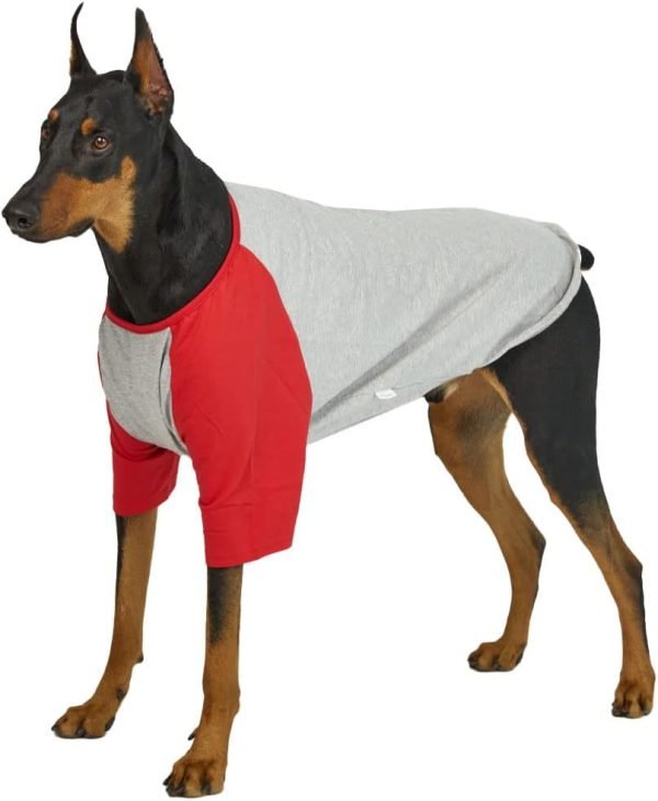 Dog Shirt for Small and Large Dogs Raglan Cotton T-Shirts Soft Breathable Dog Shirts pet Clothes Gray Series (Large, Gray/Mint)