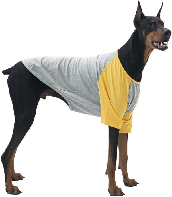 Dog Shirt for Small and Large Dogs Raglan Cotton T-Shirts Soft Breathable Dog Shirts pet Clothes Gray Series (Large, Gray/Mint)