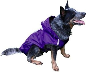 Pet Raincoat Pet Clothes Outdoor Waterproof Fabric Inner Breathable Mesh Safety Reflective Strip Puppy Clothes