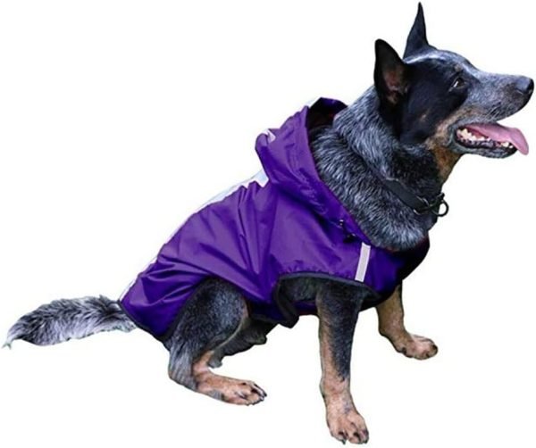 Pet Raincoat Pet Clothes Outdoor Waterproof Fabric Inner Breathable Mesh Safety Reflective Strip Puppy Clothes