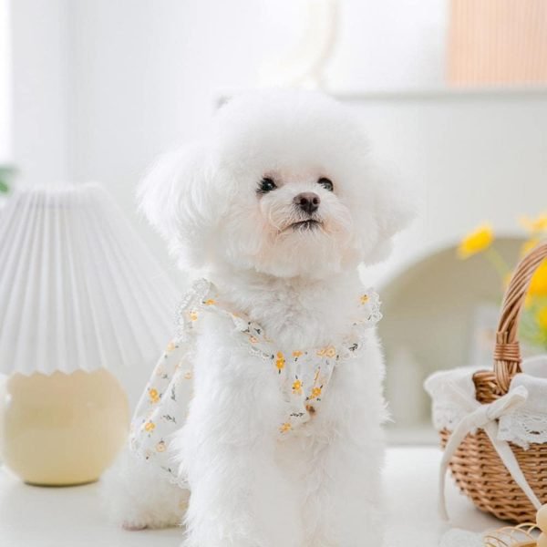 51rH4O96fOL._AC_SL1000 Floral Dress Pet Dog Clothes Cat Fresh Hollow Clothing Dogs Small Chihuahua Sweet Summer White Breathable Girl Boy Chihuahua