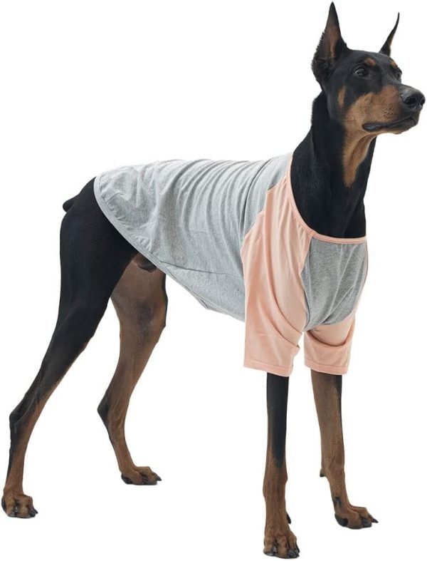 Dog Shirt for Small and Large Dogs Raglan Cotton T-Shirts Soft Breathable Dog Shirts pet Clothes Gray Series (Large, Gray/Mint)