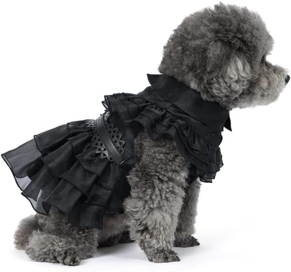 Pet Dog Cat Wednesday Dress Addams Costume Cosplay Cute Puppy Kitten Black Coat Clothes with Belt Halloween Party Dress up Pretend Play for Small Medium Dogs