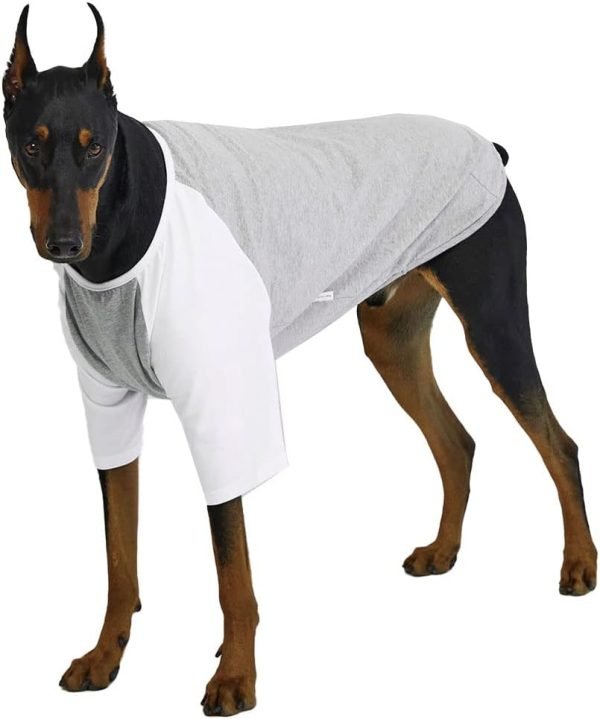 Dog Shirt for Small and Large Dogs Raglan Cotton T-Shirts Soft Breathable Dog Shirts pet Clothes Gray Series (Large, Gray/Mint)