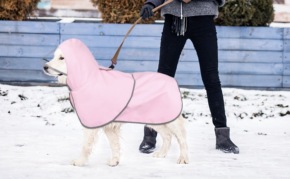 dog rain jacket