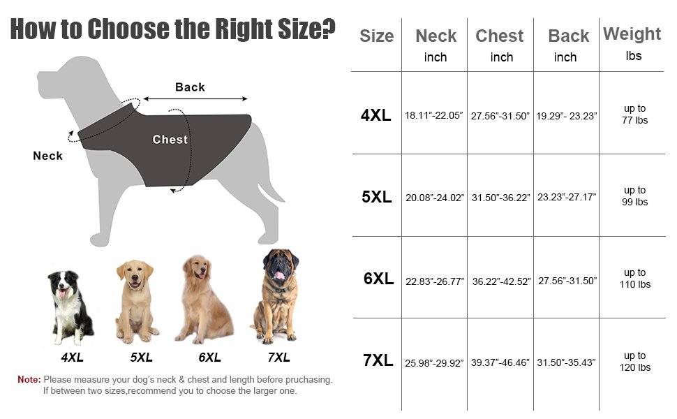 Dog Raincoat Green06