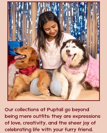 two dogs in a celebration