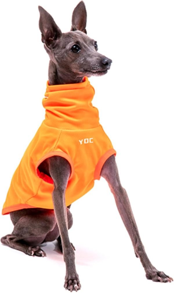 Italian Greyhound Clothes, Lightweight & Breathable Sun Protection Tank Tops for Italian Greyhound and Whippets Dogs (Green, Small)