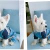 Pet Dog Denim Clothes Small Dogs Cowboy Overalls Classic Puppy Vintage Clothes Cat Apparel-XL
