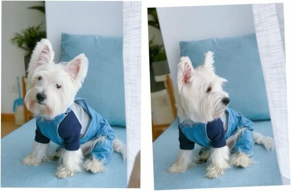 Pet Dog Denim Clothes Small Dogs Cowboy Overalls Classic Puppy Vintage Clothes Cat Apparel-XL