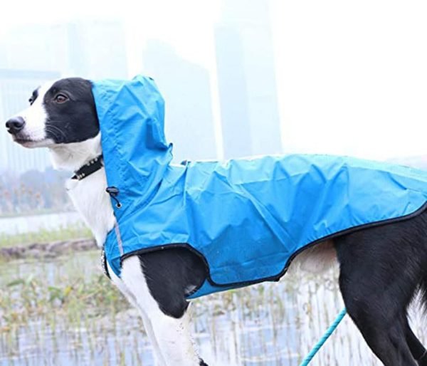 Pet Raincoat Pet Clothes Outdoor Waterproof Fabric Inner Breathable Mesh Safety Reflective Strip Puppy Clothes