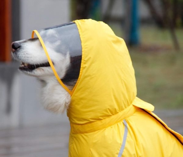 Dog Raincoat, 4 Legs Large Dog Rain Jacket with Reflective Stripe,Dog Hooded Waterproof Raincoats for Big Dogs,Large Breeds Dogs Rain Jackets with Legs,Tail- Male Dog (Yellow,12XL)