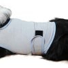 Dog Anxiety Vest, Comfort Dog Anxiety Relief Coat, Breathable Dog Calming Vest for Thunderstorm, Travel, Fireworks, Vet Visits (M,Light Grey)