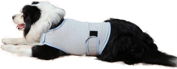 Dog Anxiety Vest, Comfort Dog Anxiety Relief Coat, Breathable Dog Calming Vest for Thunderstorm, Travel, Fireworks, Vet Visits（Dog Calming Vest Light Grey Blue S）