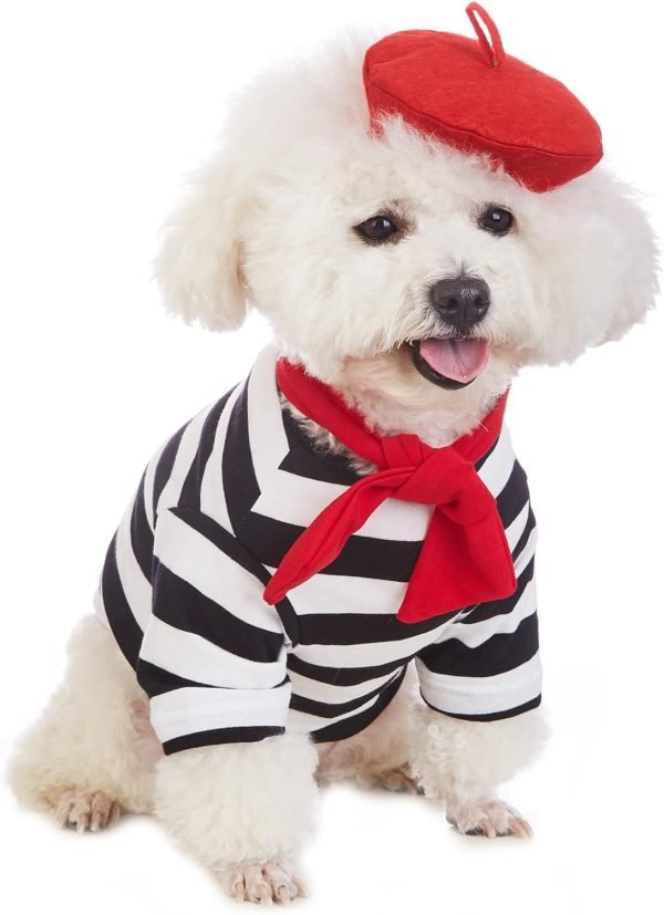 Artist Dog Costume with Funny Hat Painter Pet Clothes for Small Dog Shirts Puppy Summer T-Shirt (XL) Black