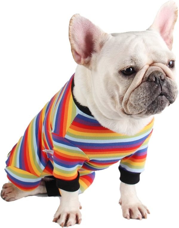 Dog Surgery Recovery Suit Pet Surgical Onesie Long Sleeve After Surgery Wear Pet E-Collar Alternative for Female Male Dog with LegPink Swan/Small