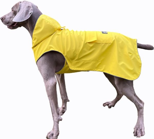 Not Stiffen Dog Raincoat Reflective, Adjustable, Easy Wear, from 2XSmall - 5XLarge Dogs, Soft Hand Feel Coating Raincoat for Outwear, Sports with Leash Hole (3XL)