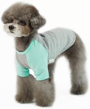 Dog Shirt for Small and Large Dogs Raglan Cotton T-Shirts Soft Breathable Dog Shirts pet Clothes Gray Series (Large, Gray/Mint)