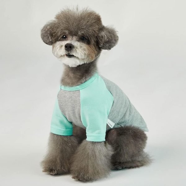 Dog Shirt for Small and Large Dogs Raglan Cotton T-Shirts Soft Breathable Dog Shirts pet Clothes Gray Series (Large, Gray/Mint)