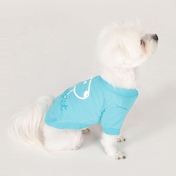 Dog T-Shirt Cotton Puppy Print Logo Soft Breathable Stretchy Simple Pet Apparel for Four Seasons Real Pastel Round Tee Shirt(Aqua, S)