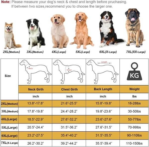 Dog Jumpsuit, Extra Large Stretch, 6XL, Yellow-Green Bar, for Medium-Sized, Adult Dogs, Surgical Recovery Dog Clothing, Polyester