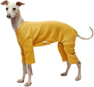 Basic Soft Dog Pajamas for Small Dog Onesie Doggie Jammies Dog Shirt Stretchable Dog Jumpsuit Bodysuit pjs (Small, Basic Mustard)