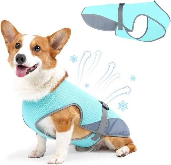 Dog Cooling Vest for Summer, Lightweight Jacket Dog Cooling Shirt, UV Protection Cooling Harness for Outdoor Activity with Breathable Mesh(Grey, X-Large)