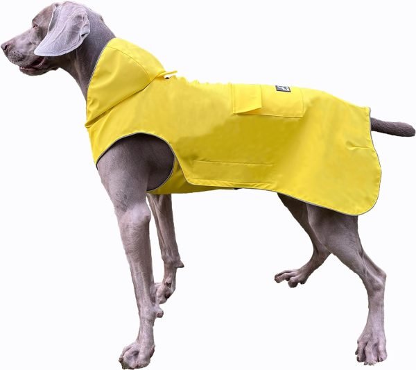 Not Stiffen Dog Raincoat Reflective, Adjustable, Easy Wear, from 2XSmall - 5XLarge Dogs, Soft Hand Feel Coating Raincoat for Outwear, Sports with Leash Hole (3XL)