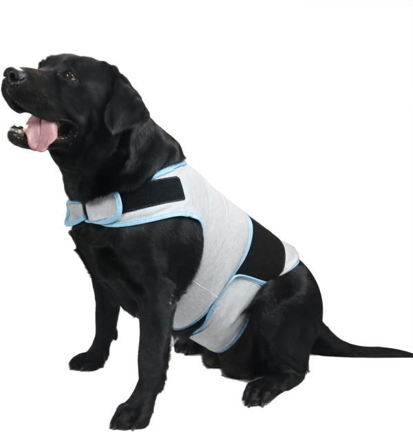 Dog Anxiety Vest, Comfort Dog Anxiety Relief Coat, Breathable Dog Calming Vest for Thunderstorm, Travel, Fireworks, Vet Visits (S,Light Grey)