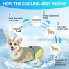 Dog Cooling Vest for Summer, Lightweight Jacket Dog Cooling Shirt, UV Protection Cooling Harness for Outdoor Activity with Breathable Mesh(Grey, X-Large)