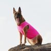 2 Pack Quick Dry Dog Shirt, Lightweight Mesh Breathable Dog Clothes for Small Dogs Girl,Sun-Protection Sleeveless Shirts for Dog&Cat Puppy Vest Pet Apparel
