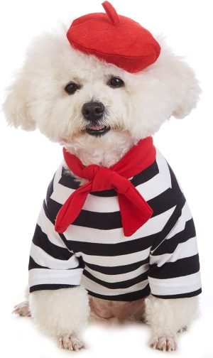 Artist Dog Costume with Funny Hat Painter Pet Clothes for Small Dog Shirts Puppy Summer T-Shirt (XL) Black