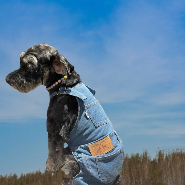 Dog Denim Jumpsuit Costumes Cat Pet Jean Overalls Clothes For Yorkie Bulldog (XL, Blue)