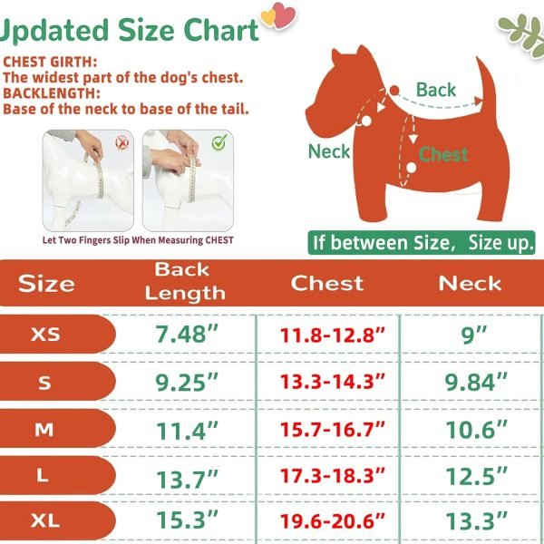 Dog Pink T-Shirts Vest for Girls,Lightweight Stretchy Dog Tee Shirt Breathable Soft Cool Vests,Clothes for Puppy Kitty Cats Small Medium Dogs（Pink,Small）